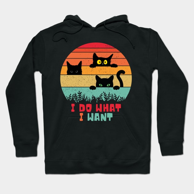 I Do What I Want Hoodie by BaradiAlisa